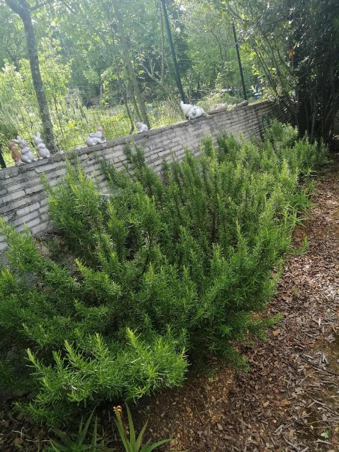 Apartments With A Parking Space Dramalj, Crikvenica - 5592 Bagian luar foto